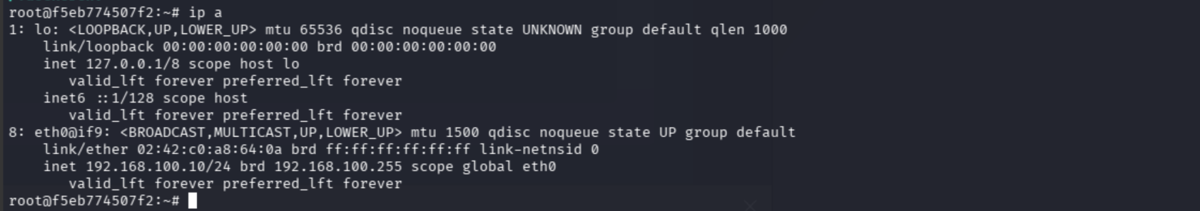 ip a showing container IP 192.168.100.10/24